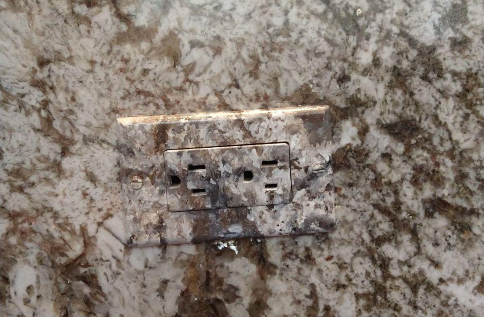 WhatsApp Image 2026-01-27 at 3.30.56 PM (14)